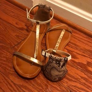 Express Shoes - Color block T strap Sandal Express Shoes - Color block T strap Sandal